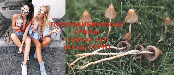 прущий лед Магас