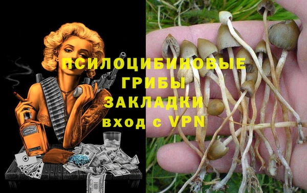 a pvp Майский